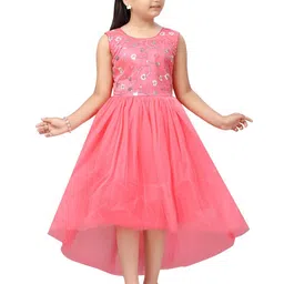 BAESD Net Maxi Dress image 1