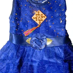 SHREEVASA Net Fit & Flare Dress image 2