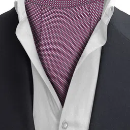 Alvaro Castagnino Men Printed Cravat image 3