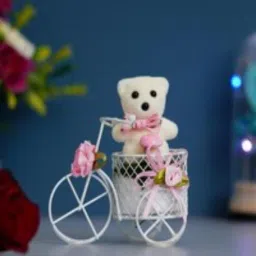 ecraftindia White Cycle With Teddy Bear And Rose Petals Showpiece-picture-23