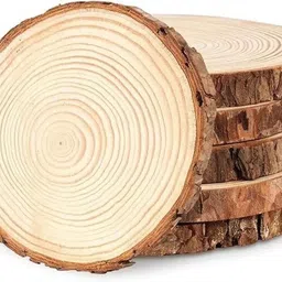 amulyadelhi Round Reversible Wood Coaster Set image 1