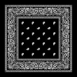 good shopkeeper Men, Boys, Girls Printed Bandana-picture-15