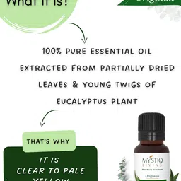 mystiq living Eucalyptus Essential Oil | Nilgiri | 100% Pure Undilluted | For Cold, Cough, Clear Breathing, Joints Pain, Steam Inhalation & Mosquitos image 2