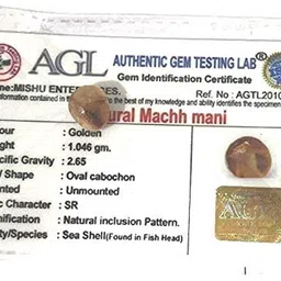 ram ratan kendra Mach Mani(Sea Stone) in Silver Locket(Lab Certified) Silver Plated Stone Chain image 2