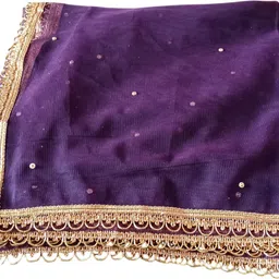 Net Self Design Purple Women Dupatta-image-48