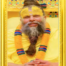 tradersearth Plastic Wall Photo Frame-picture-37