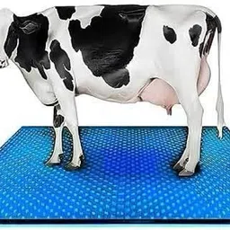 COW MAT-Waterproof Rubber(Mat 8*5 Feet)BPA Free For Horse-M | Cow, Dog, Hamster, Guinea Pig, Miniature Pig Pet Mat-image-60