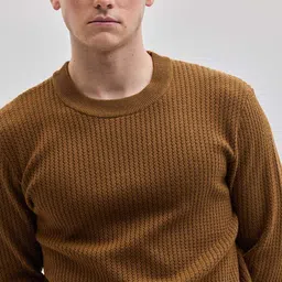snitch Men Self Design Crew Neck Brown Sweater image 3