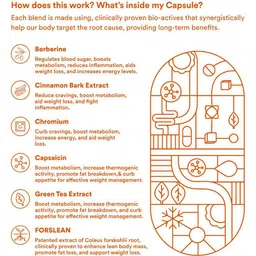 Origins Nutra Set Of 2 Metabolism Booster Capsules - 56 Each image 3