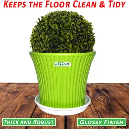 rgdecor 8 Inch - 9 White Pot Plate Plastic Plant Tray Bottom Tray Pot Plate Tray Saucer Plant Container Set image 5