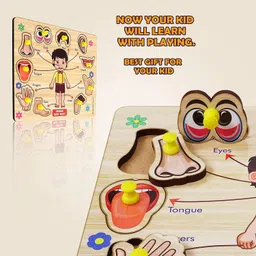 buy surety PackOf2 Wooden Human Body Parts & Animals Name Matching Puzzle Learning Board image 2