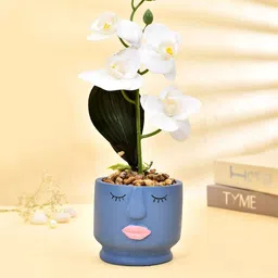 TAYHAA White & Blue Orchids Artificial Flowers & Plants-picture-39
