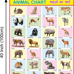 editoneinternational Animals Chart for Kids Big Size, Early Learning Educational Wall Chart for Children 28 x 40 inch Laminated, Non Tearable Waterproof Wall Pasting Chart Canvas Art image 3