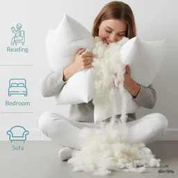 birdwing Polyester Fibre Solid Cushion Pack of 2 image 5