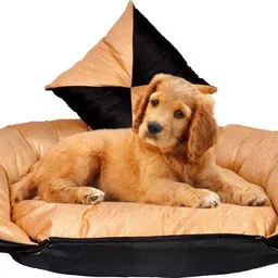 heaven luxurious Premium Quality Ultra Soft Velvet Sofa Dog Bed & Cat Bed| Puppies Puppy Pet Bed S Pet Bed-picture-16