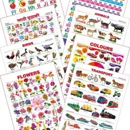 spectrum Kid's 1st Learning Charts [S] : Set 22 (English Alphabets, Numbers 1-100, Marathi Mulakshare, Animals, Birds, Colours, Flowers & Transport)-picture-10