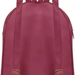 ashcrafzee Small 14 L Backpack jhalar backpack1 image 2