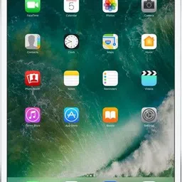 Apple iPad Pro 512 GB ROM 10.5 inch with 4G (Silver)-picture-10