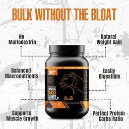 beastlife High Protein Gainer - No Maltodextrin Weight Gainers/Mass Gainers image 2