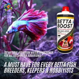 jothi aquatics Betta Boost Aquarium Water Conditioner & Essentials For Betta Fish Tank Aquatic Plant Fertilizer image 2
