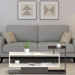 bluewud Declove Coffee Table In Wenge & White Finish image 1