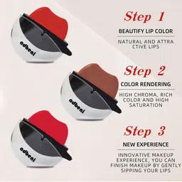 Adbeni Lip Shape Waterproof Matte Lipstick 10g - Brick Red image 5