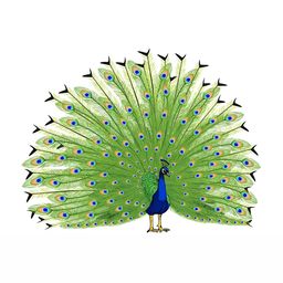 Wallpics Blue & Green Peacock Printed Waterproof Wall Sticker-picture-26