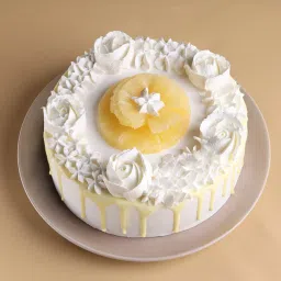 Pineapple Cake N Syngonium Plant Combo image 2