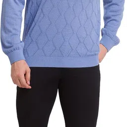 colorplus Men Self Design V Neck Blue Sweater image 5