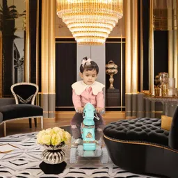 toyprofessor Baby Horse Rider for Kids 1-5 Years Birthday Gift for Kids Rideons & Wagons Non Battery Operated Ride On-picture-22