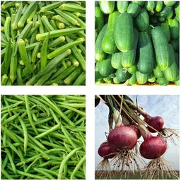 seedaria Hybrid Vegetables seeds COMBO pack, for home garden mix vegetables Seed image 4