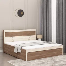 mintwud from pepperfry Sappora Queen Size Bed in Bella Noce & Highland Pine Color with Hydraulic Storage image 1