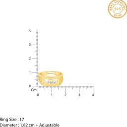 giva 925 Silver Golden Eternal Bliss Ring for Him Sterling Silver Zircon Rhodium Plated Ring image 5