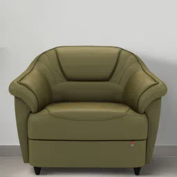 durian Berry compact Leatherette 1 Seater Sofas in Olive Green Colour-picture-15