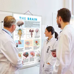 go woo THE BRAIN CHART | Journey through the Brain: Comprehensive Anatomy Chart Paper Print image 5