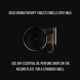 mount wolf Record Player Designed Car AC Air-Vent Aromatherapy Interior Decoration Car Freshener Diffuser Set image 2