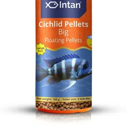 intan Cichlid Pellets (Big)_Large Fish 165 kg Dry Adult Fish Food-picture-16