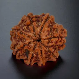 shivtantra Original 8 Mukhi Nepali Rudraksha Wood image 2