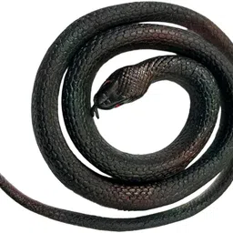 Good Quality Rubber Snakes Toys Prank Fake Gags toy Funny Halloween Toy Prank Snake Gag Toy-image-14