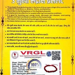 robin export company Premium Quality 3 Mukhi Nepali Rudraksha Bracelet With Lab tested certificate Wood image 2