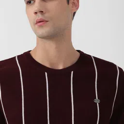 peter england Men Striped Crew Neck Maroon Sweater image 2