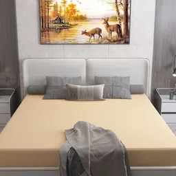 DREAM CARE Cotts Wonder Beige Waterproof Double King Mattress Protector-image-61