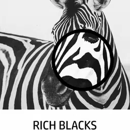 inkpoint Refill Ink for Epson 001 Dye Ink Compatible for Epson L4150, L4160, L6160, L6170 Black Ink Bottle image 4