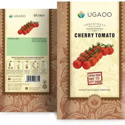 ugaoo Cherry Tomato Vegetable Seed-picture-13