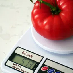 SHOPNEX GreaterGoods Digital Kitchen Scale Weighing Scale image 5