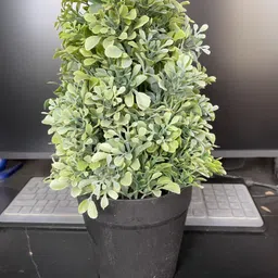 one mittii Artificial Potted Plant Leaf Plant for Home & Office Greenery Indoor Decor Plant Wild Artificial Plant with Pot-picture-46