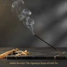 goldair Sonchafa Sonchafa image 3