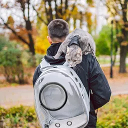 yywop 4u Space Capsule Bubble Cat Backpack Carrier GREY Backpack Pet Carrier image 4