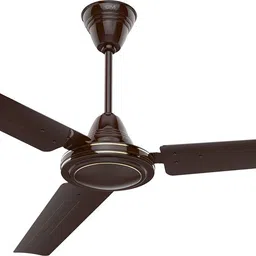 gm AIR MTE 1200 1 Star 1200 3 Blade Ceiling Fan-picture-11