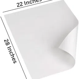 yournotebook White Chart/Pastel Paper Unruled/Plain A1 220 gsm Drawing Paper image 2